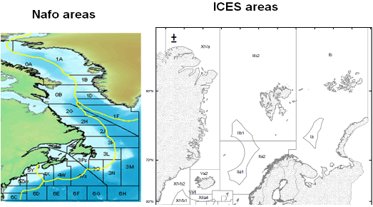 북대서양 주요 조업 해역(NAFO 및 ICEA 해역)